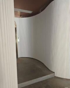 case (2)