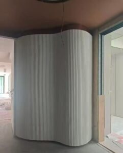 case (4)